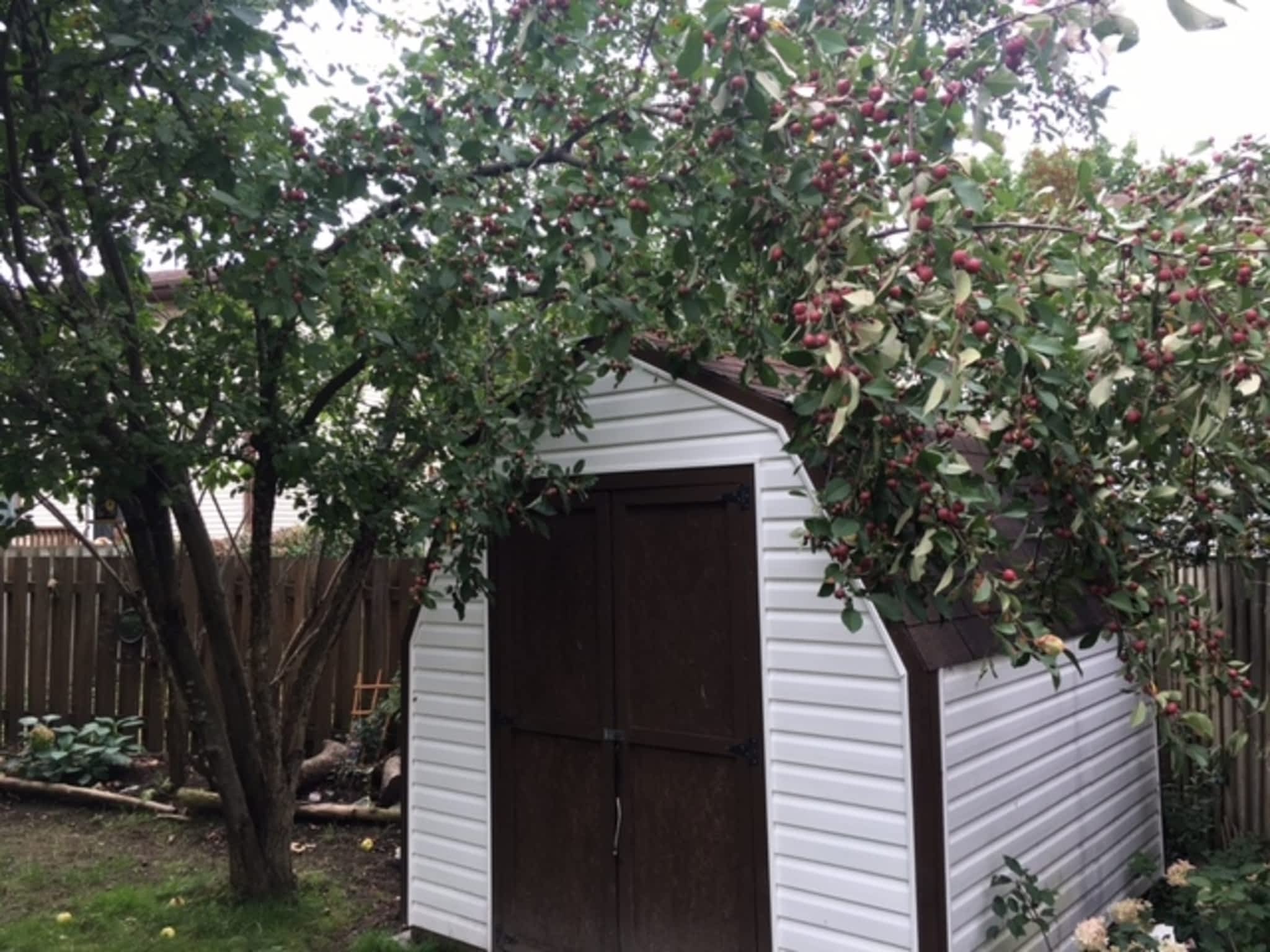 photo Deep Roots Quality Tree Services