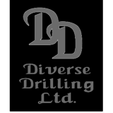 Voir le profil de Diverse Drilling Ltd - Beaverlodge