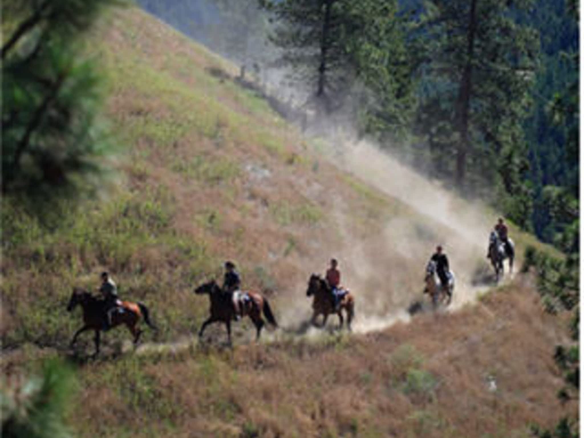 photo Okanagan Stables.com