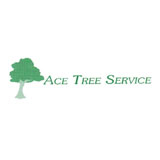 View Ace Tree Service’s McKellar profile