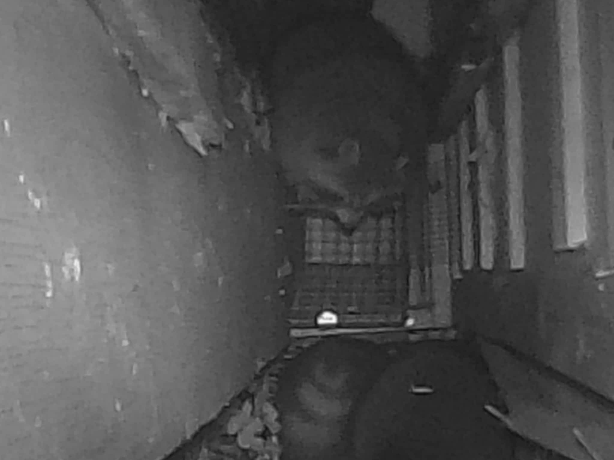 photo Grenier Faune Expert