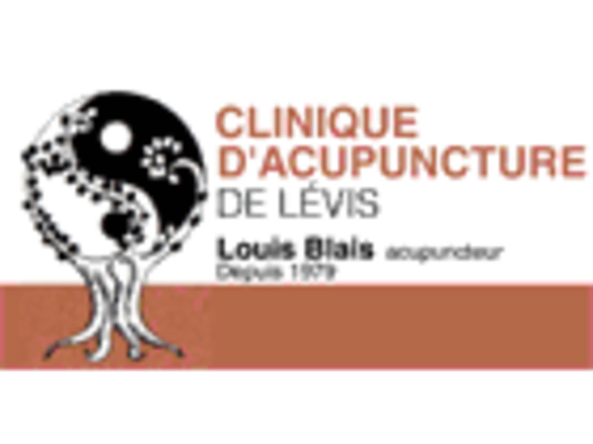 photo Clinique d'Acupuncture de Lévis