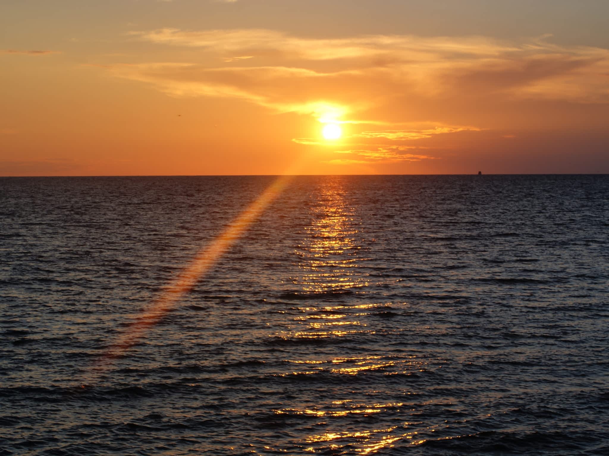 photo Execs With Anxiety