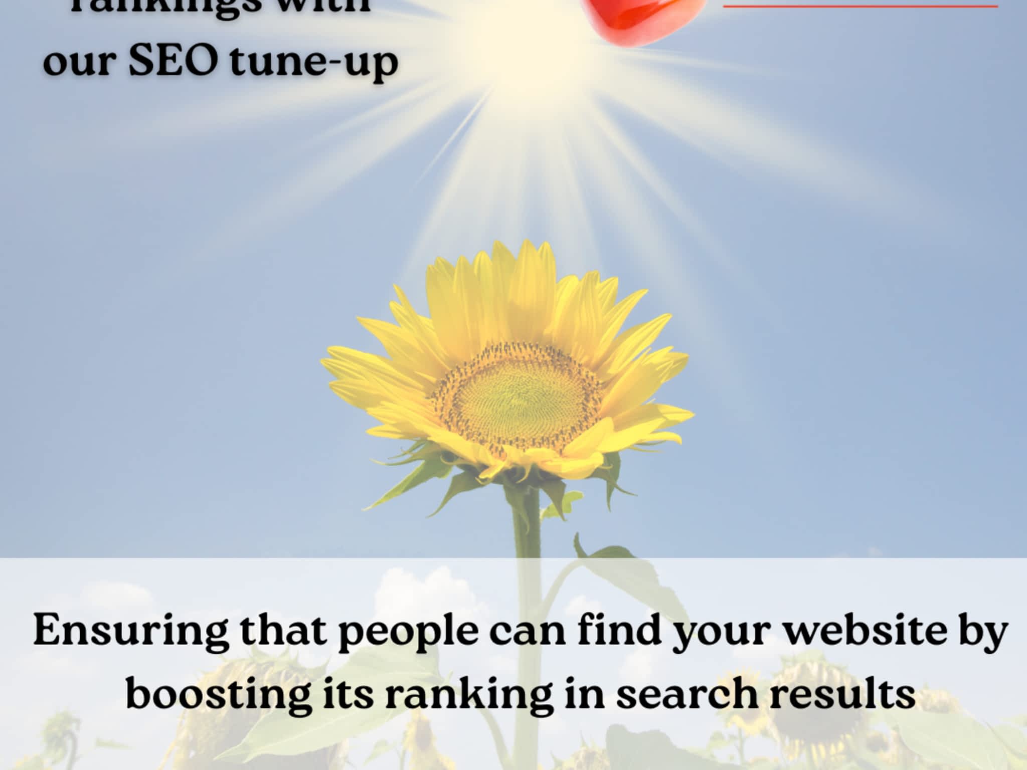 photo Carnelian Web Services