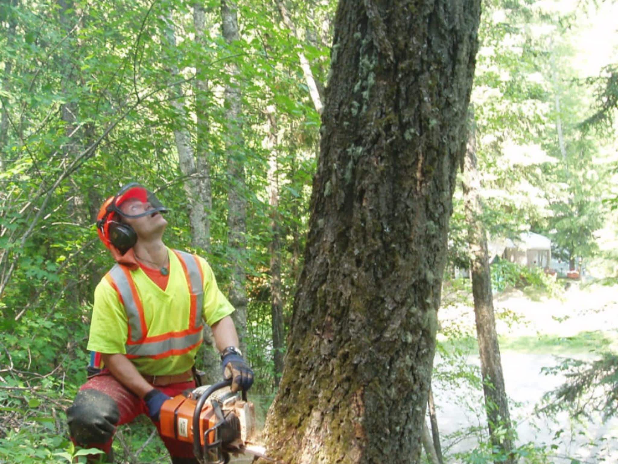 photo Green Leaf Tree Services