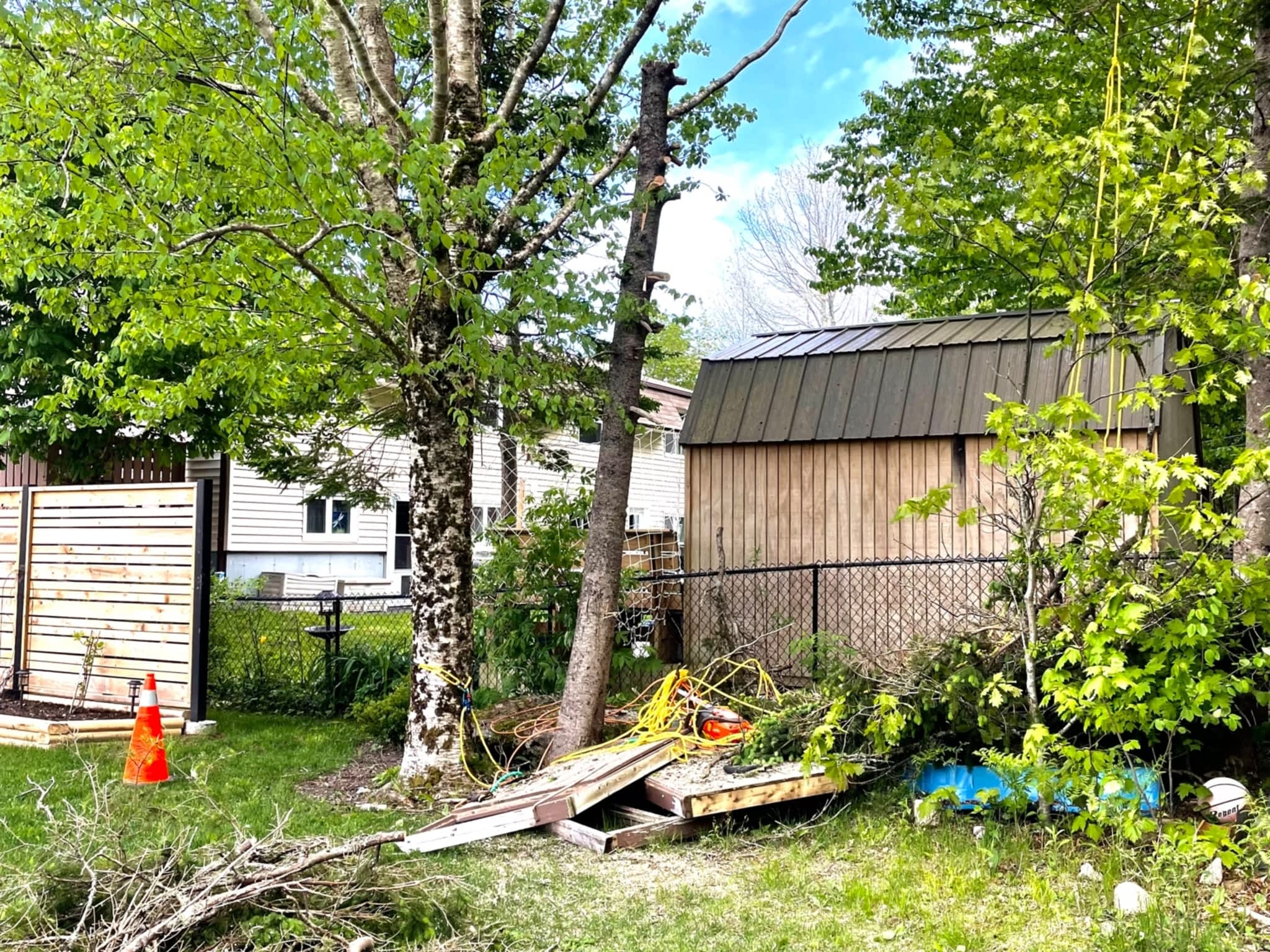 photo Brad's Tree Pro