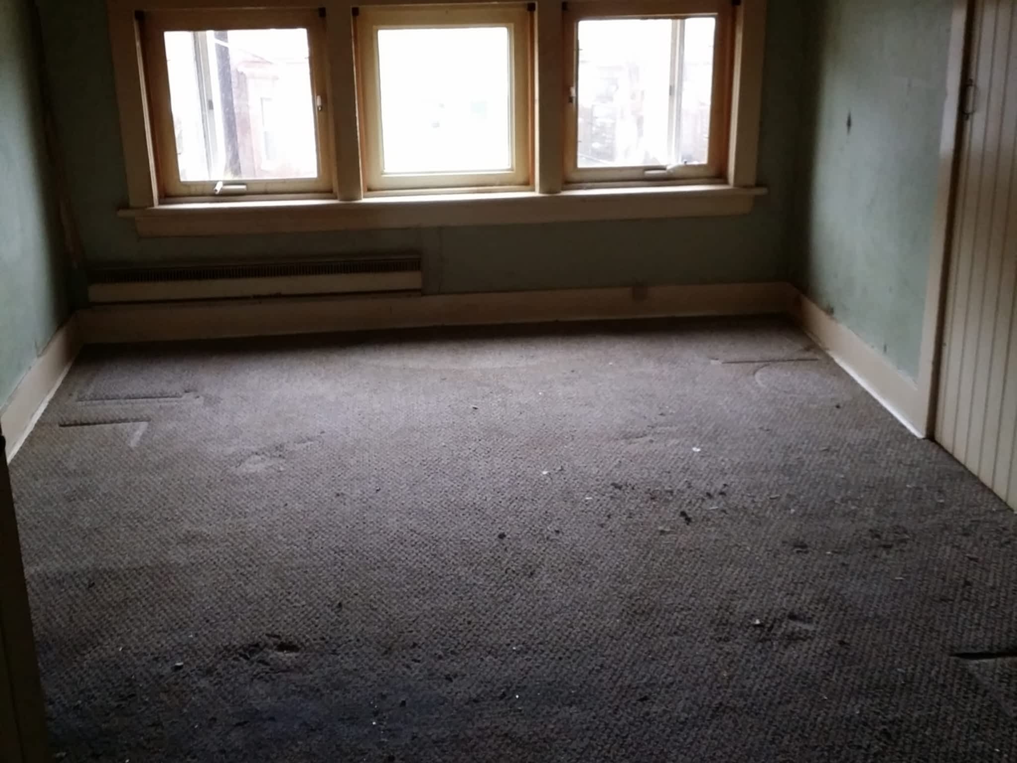 photo Goodbye Junk Cleanup & Bin Rental Services