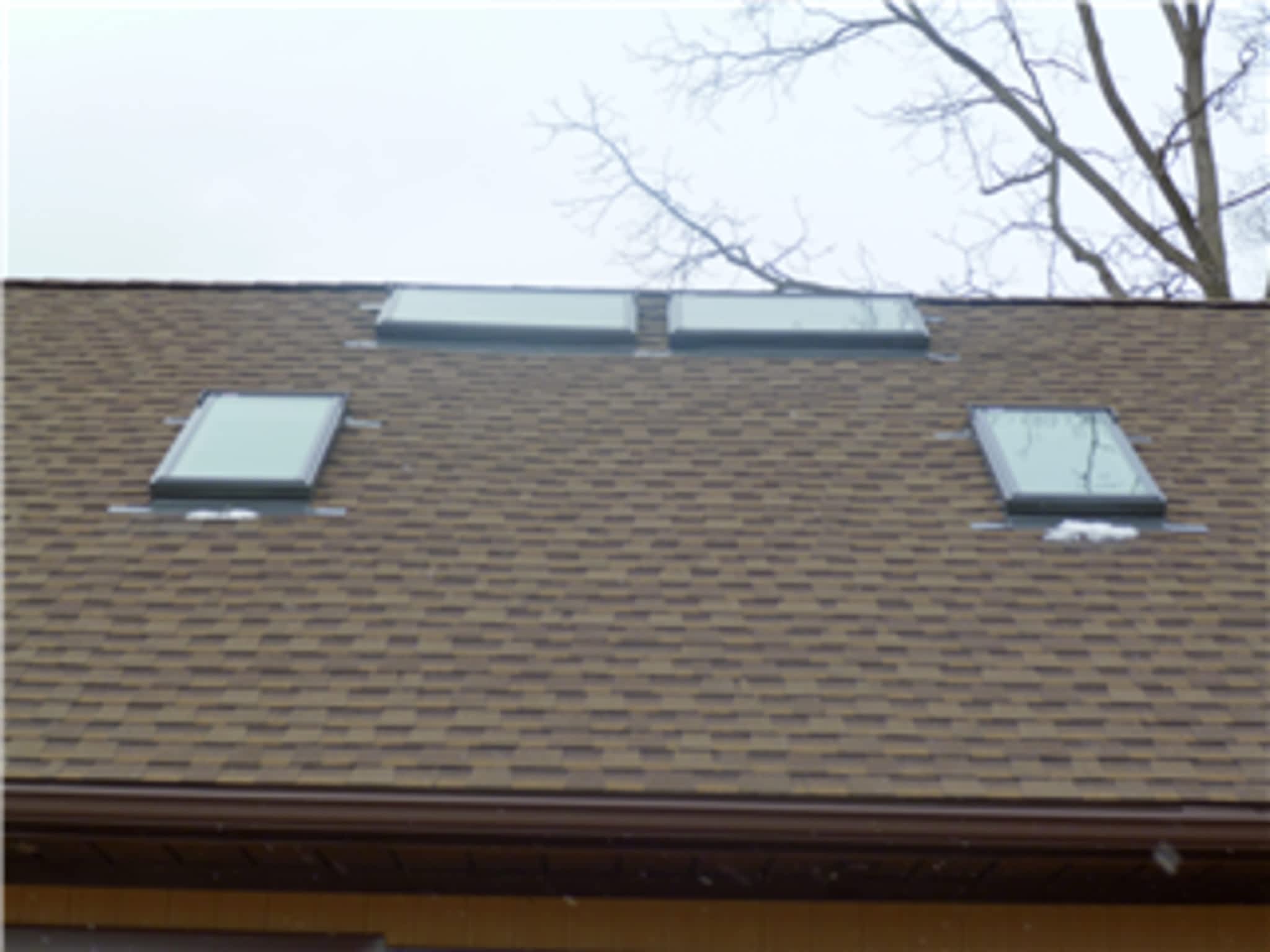 photo Skyway Roofing