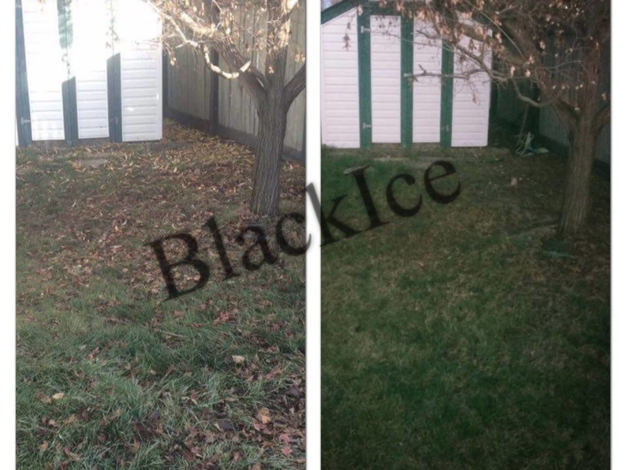 photo BlackIce Snow Removal & Lawn Care