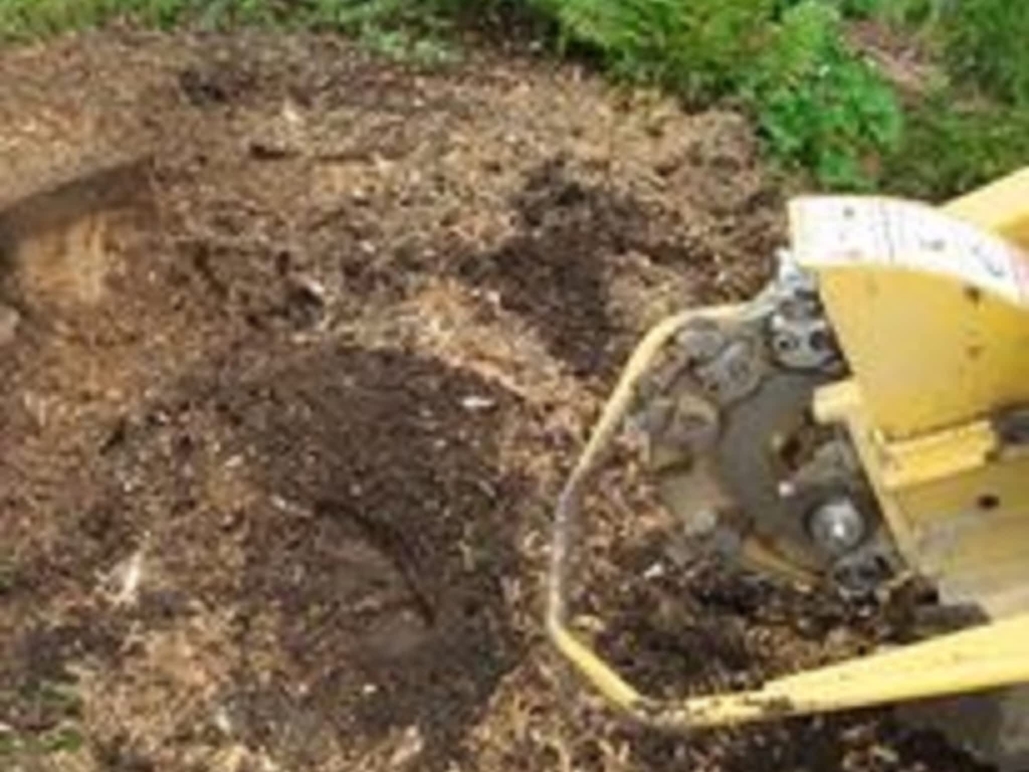 photo Macsemchuk Tree Services