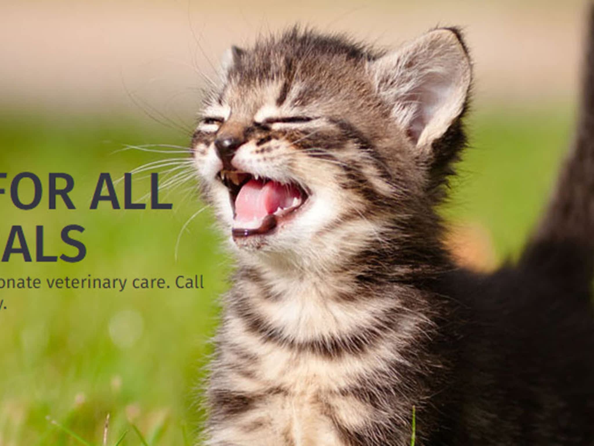 photo Carberry Small Animal Veterinary