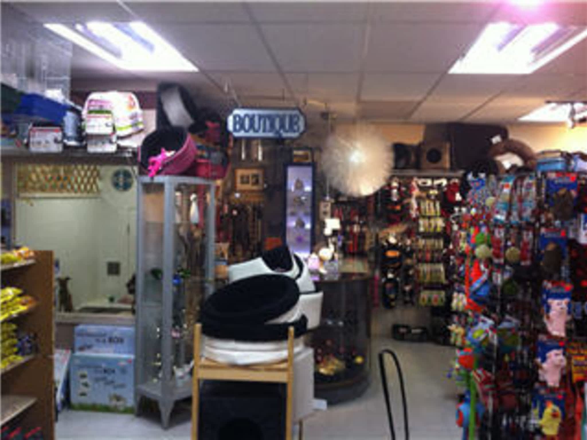 photo AJ's Pets & Things