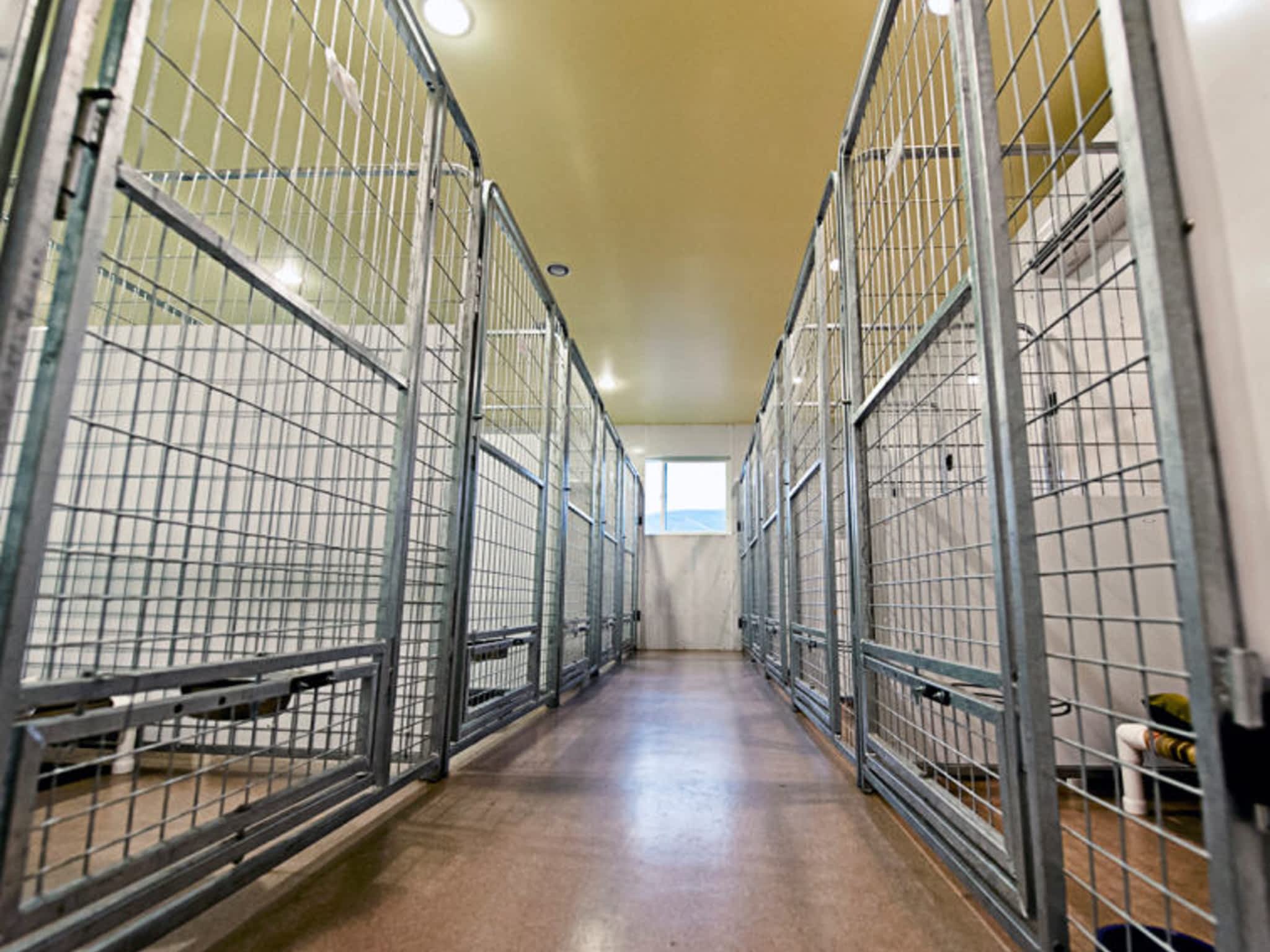 photo The Dog Patch Daycare Hotel & Spa