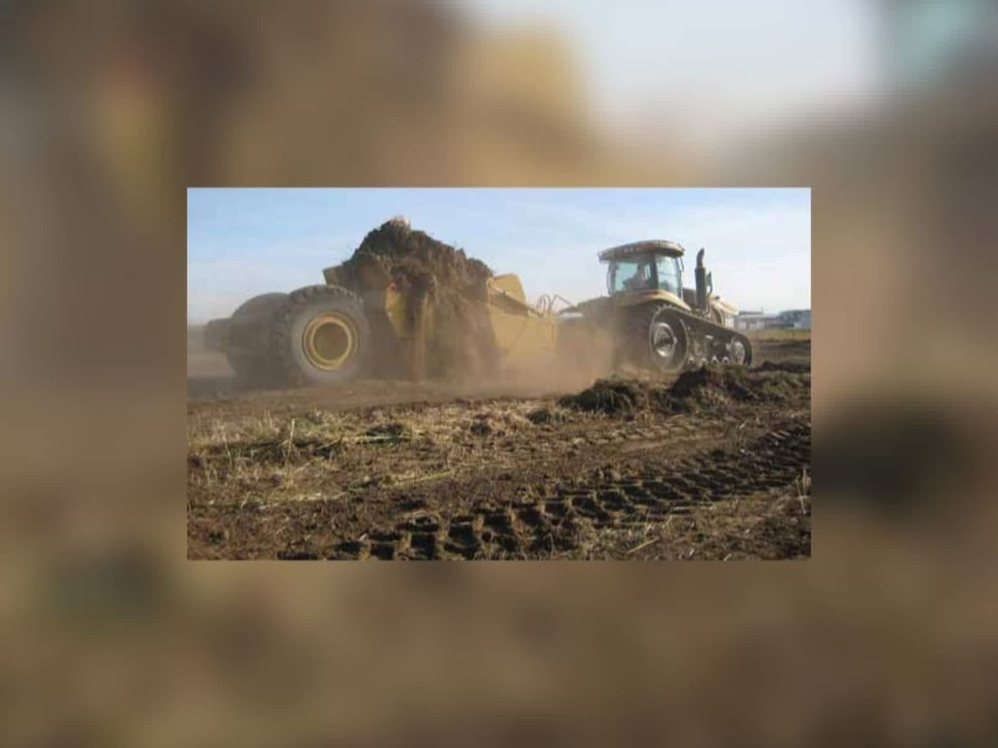 photo Elliott Cats Ltd