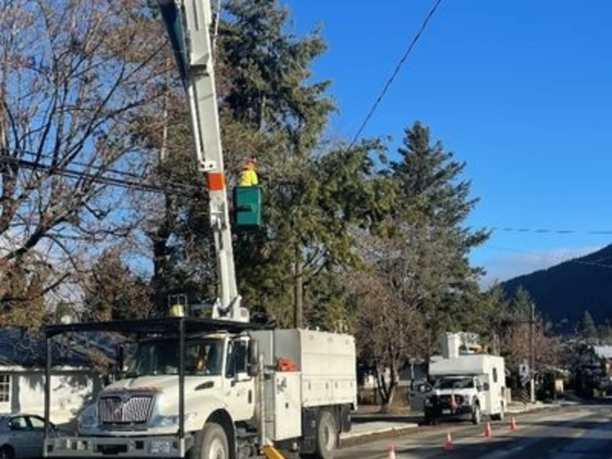 photo Scott Wills Tree Service