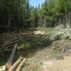 Émondage Marc Lizotte - Service d'entretien d'arbres