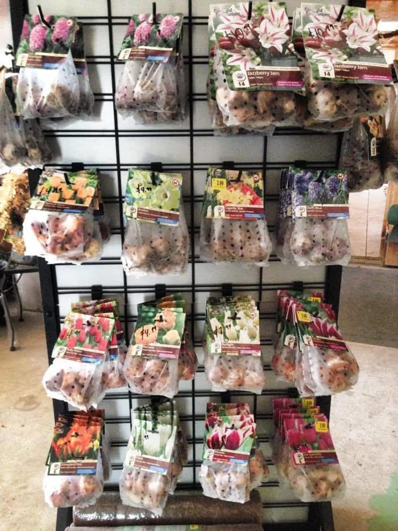 Gauld Nurseries Ltd - Niagara Falls, ON - Mountain & Garner | Canpages