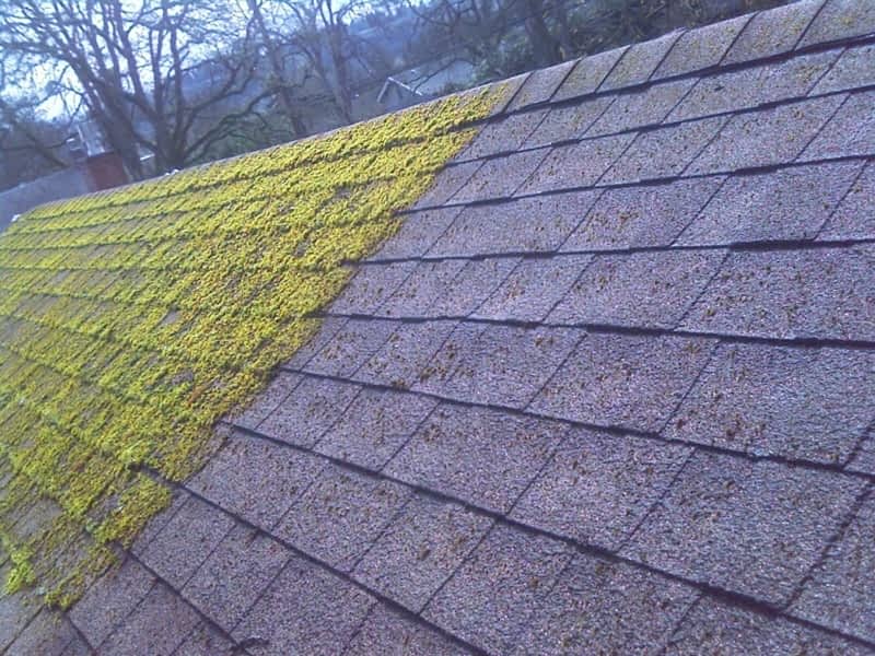 Gutter Gator Roofing & Exteriors Chemainus, BC 3368 Henry Road