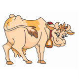 View Mr Dairy & Food Distributing Ltd’s Bramalea profile