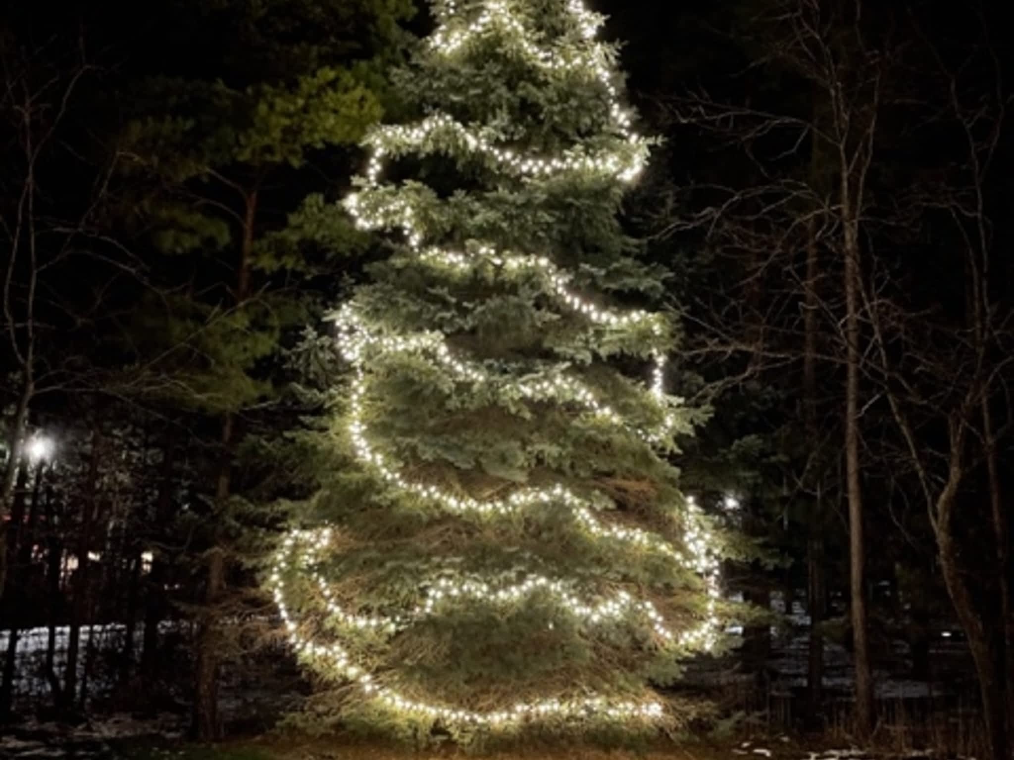 photo Lighthouse Windows