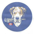 Classic Plumbing & Heating Ltd - Fournaises