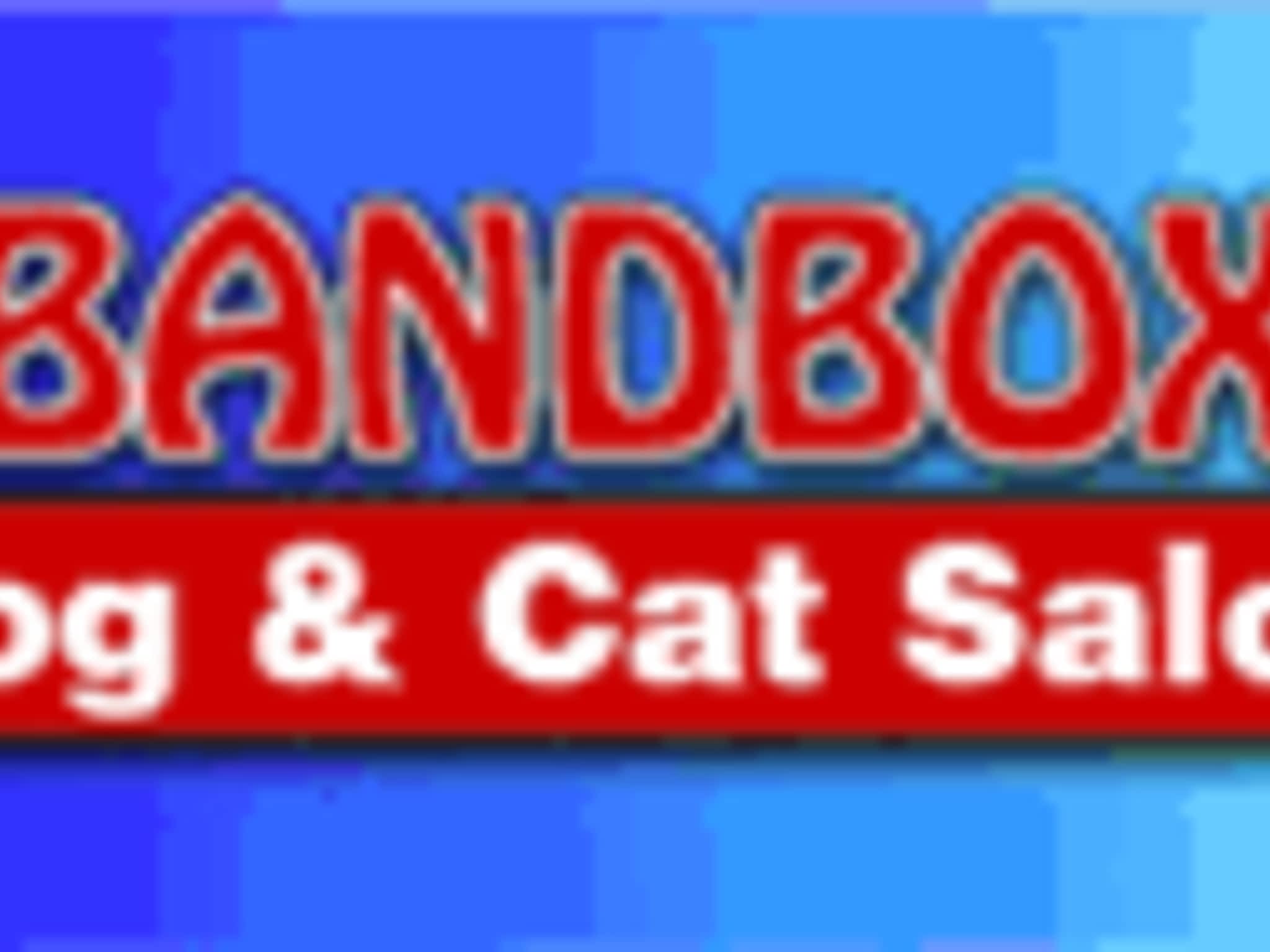 photo Bandbox Dog Salon