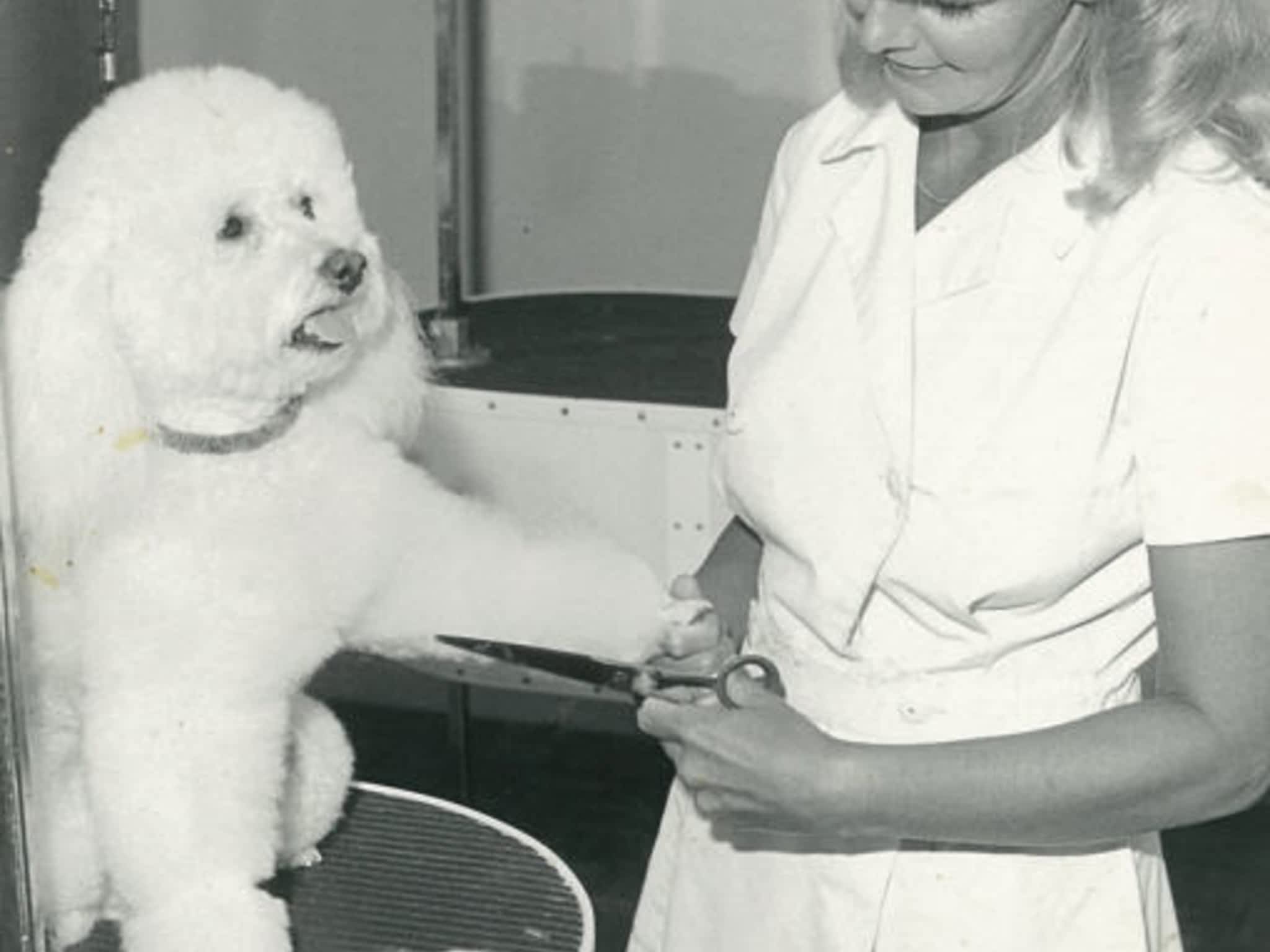 photo Studio de Beauté Canine de Boucherville