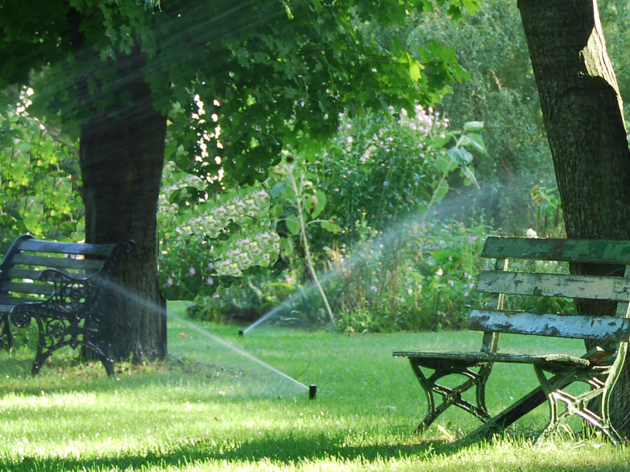 photo Spring Showers Irrigation