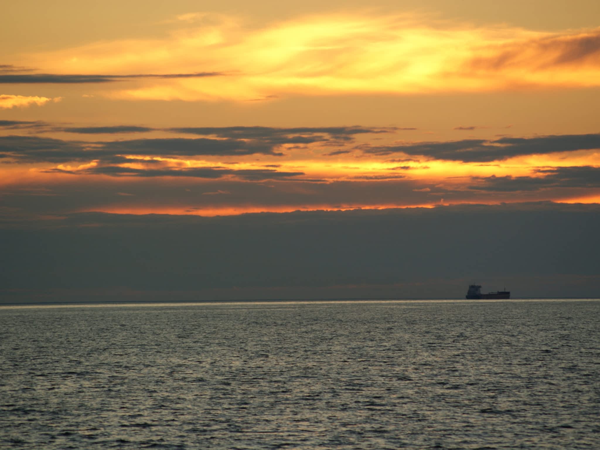 photo Execs With Anxiety