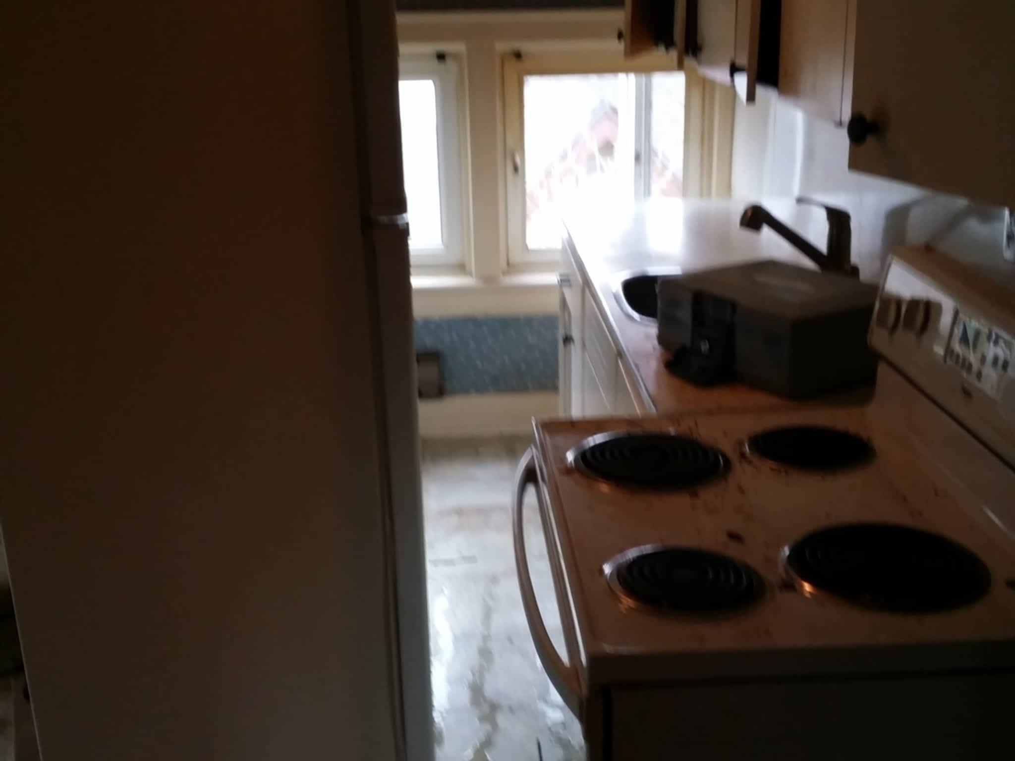 photo Goodbye Junk Cleanup & Bin Rental Services