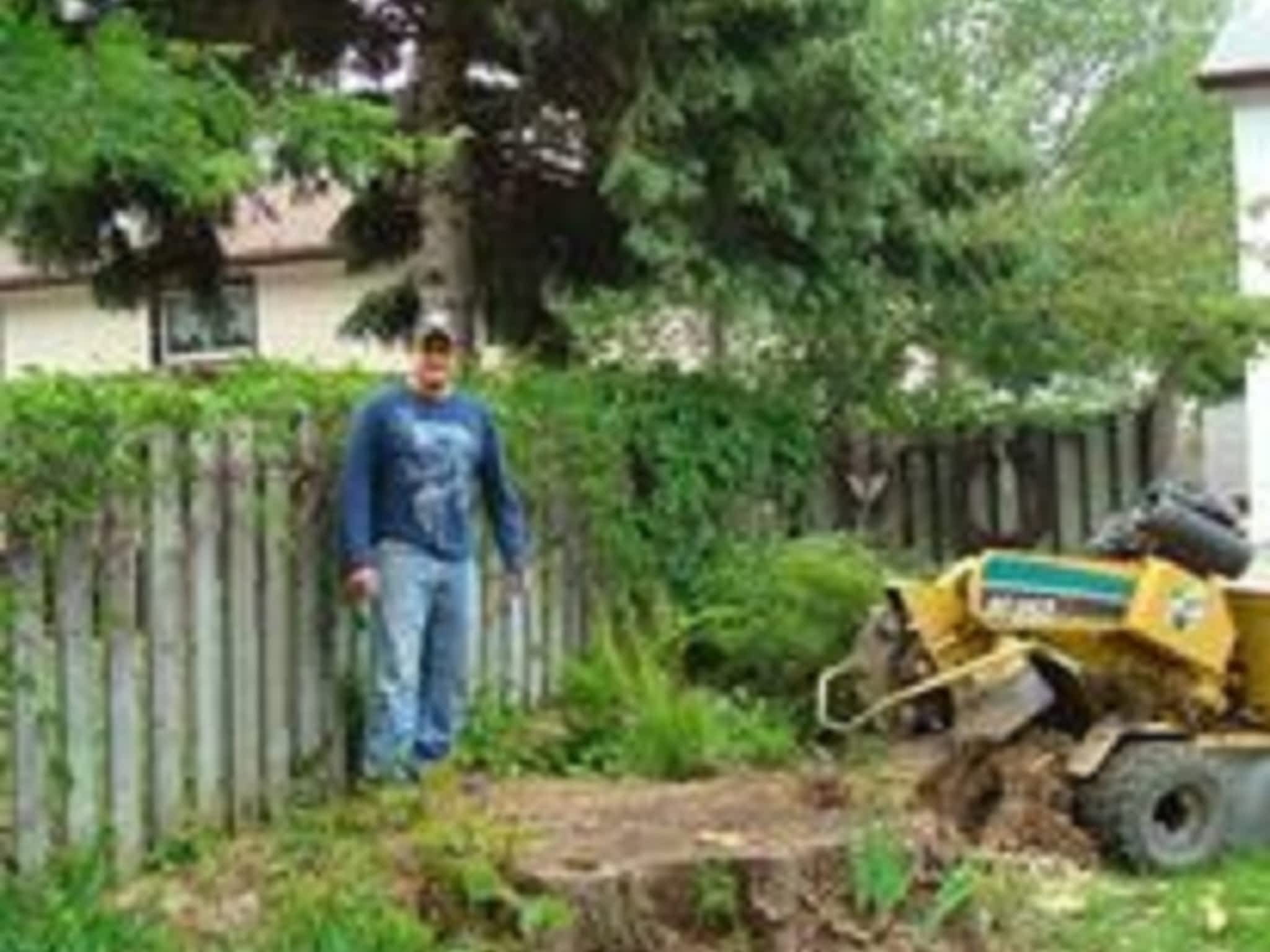 photo Macsemchuk Tree Services