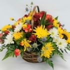 The Bloom Box - Fleuristes et magasins de fleurs
