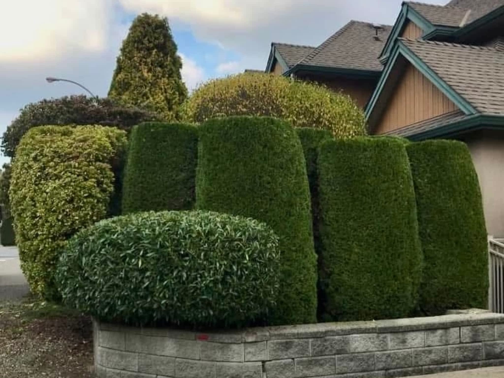 photo Twin Rivers Tree Service and Landscaping - Frase r Valley