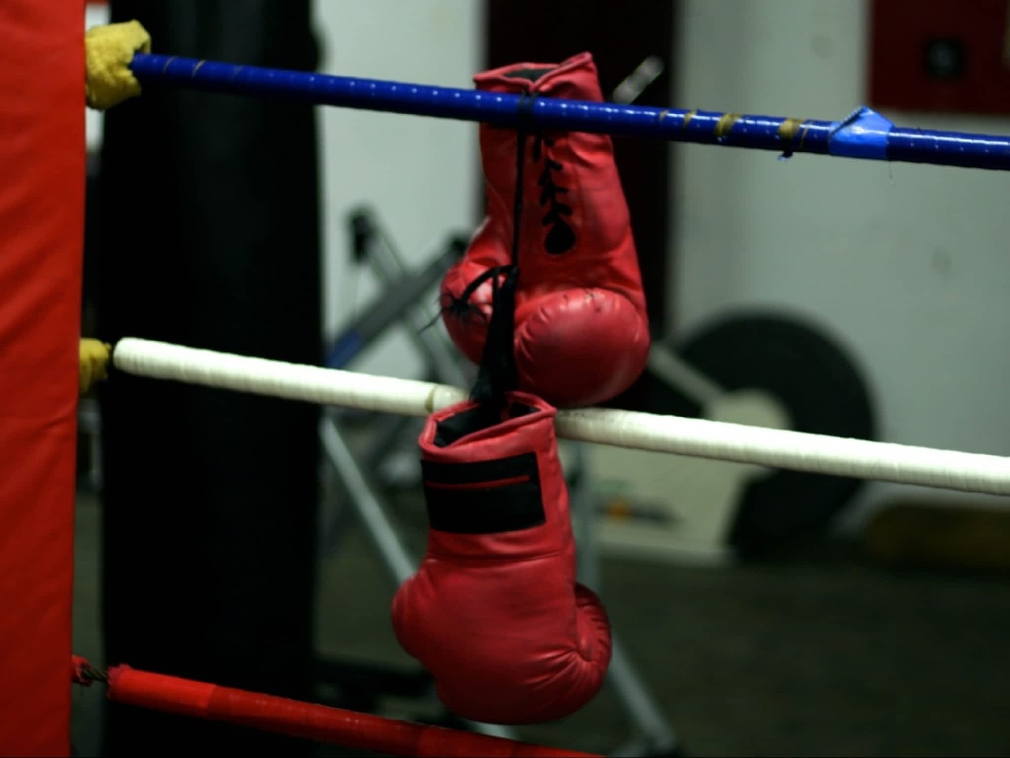 photo Toronto Newsgirls Boxing Club