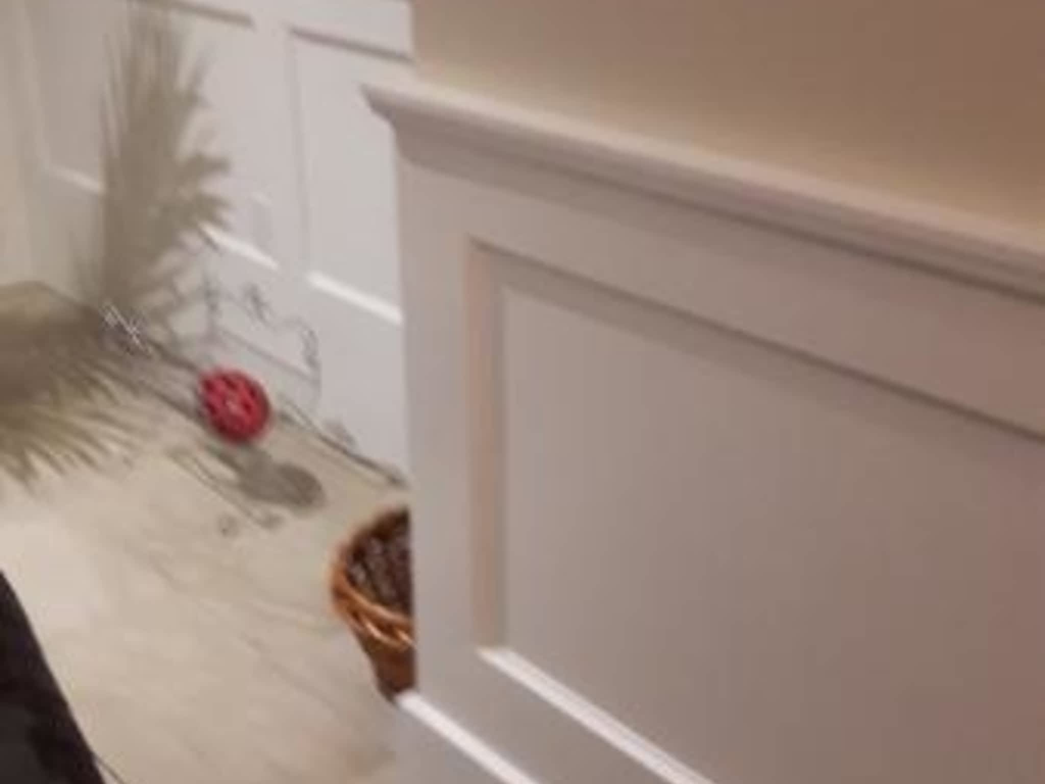 photo Rénovation Sébastien Lamontagne