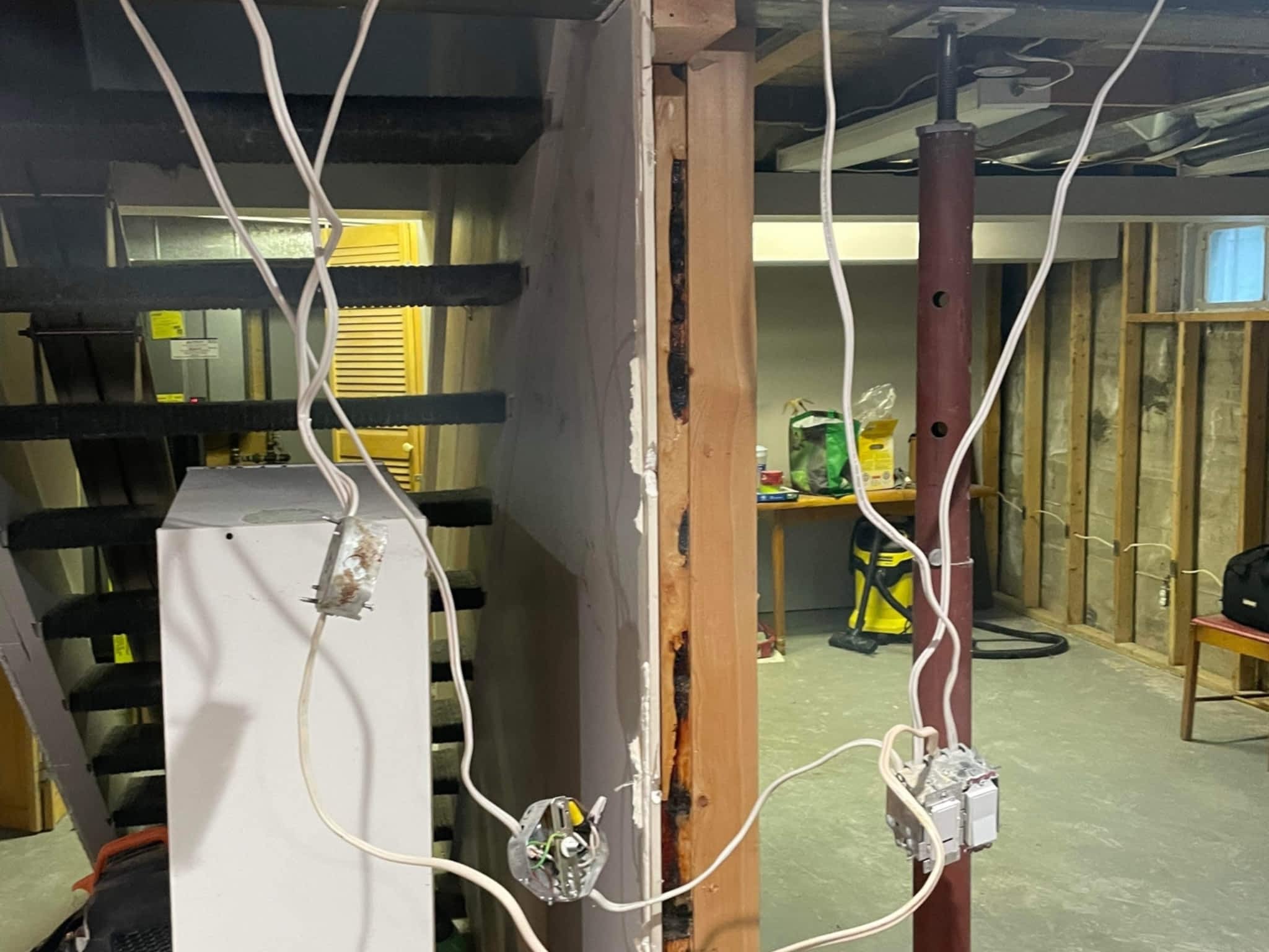 photo Shape Shift Reno's