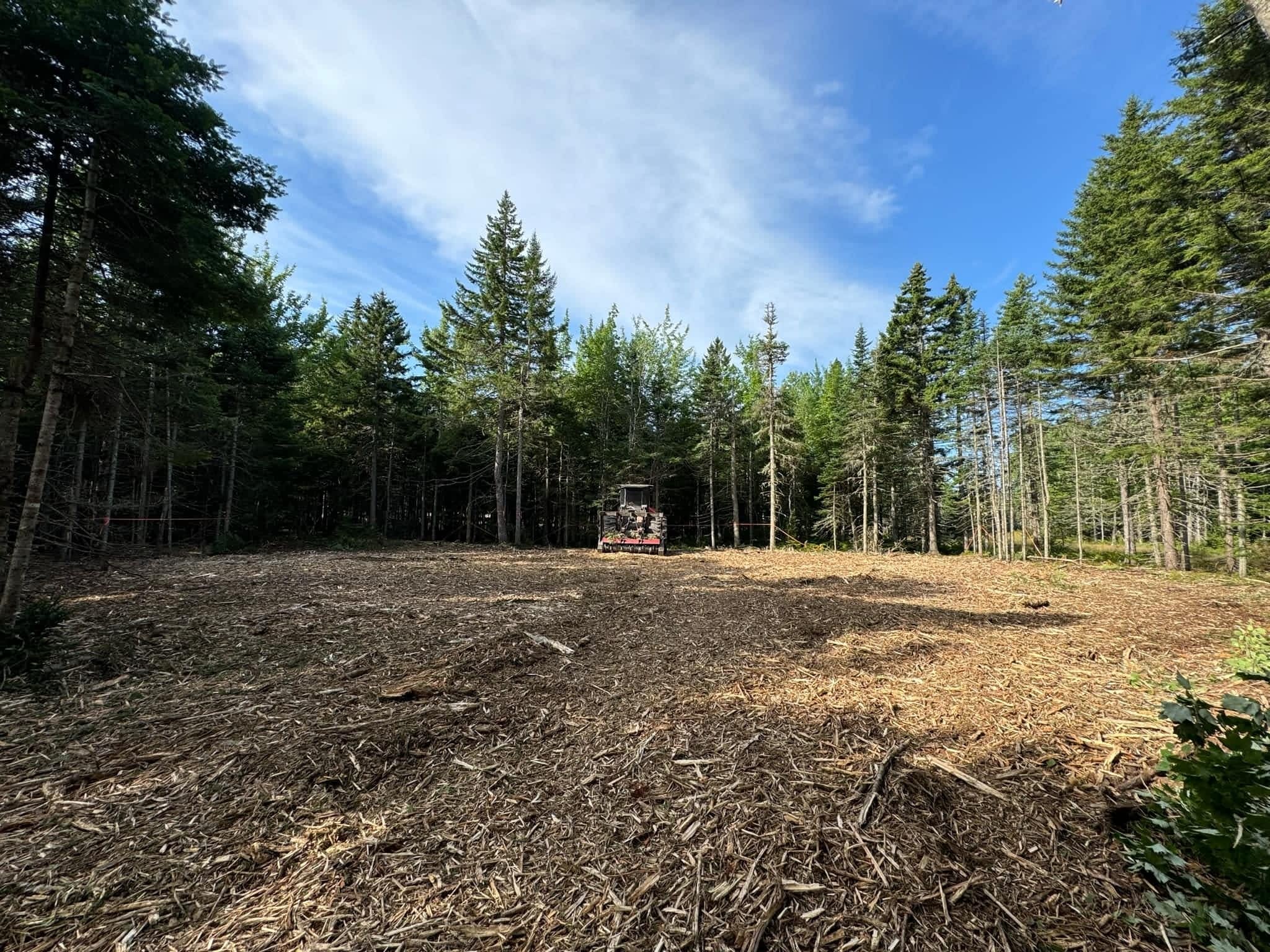 photo Unique Mulching