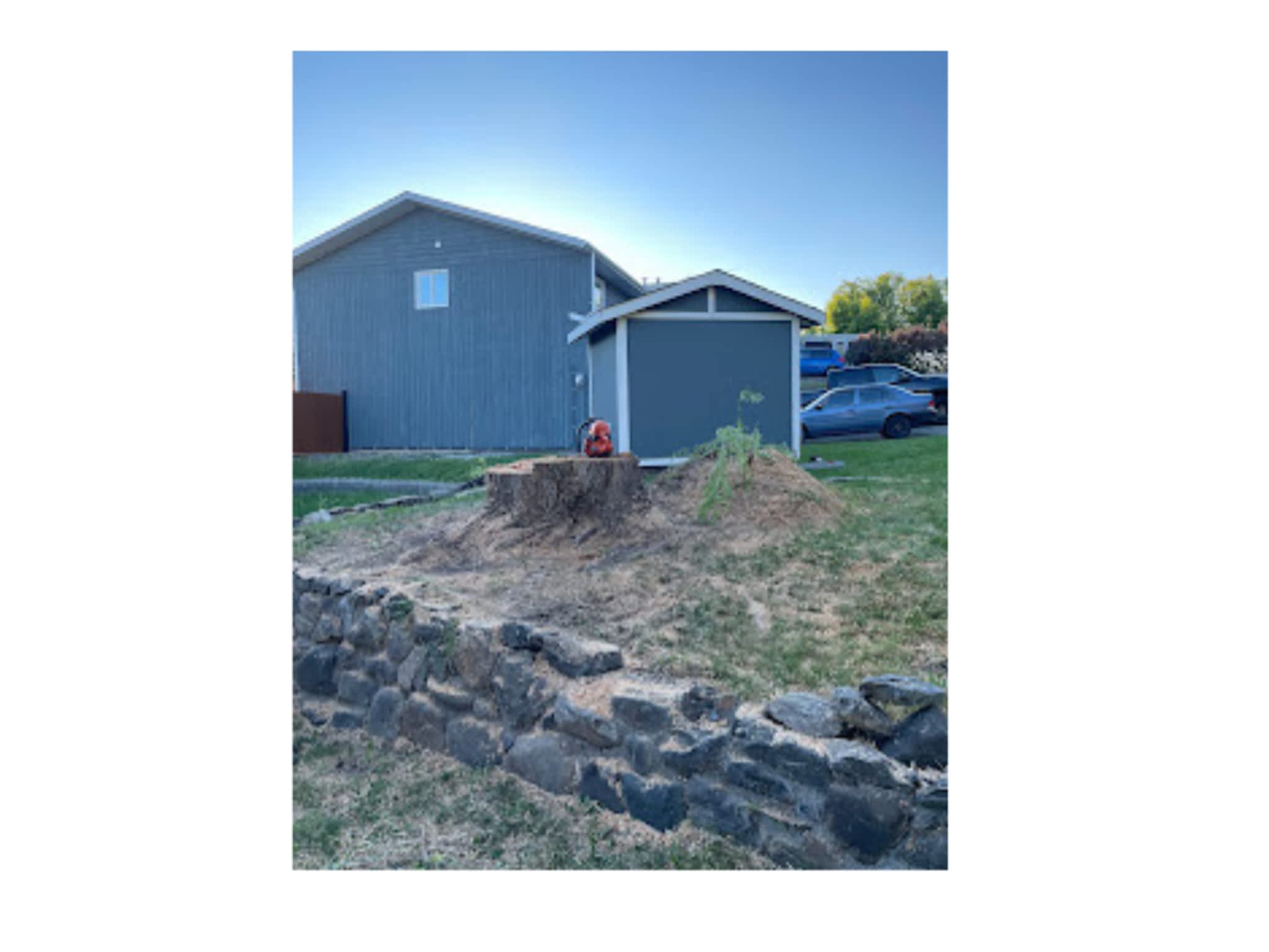 photo Western Arborist Services