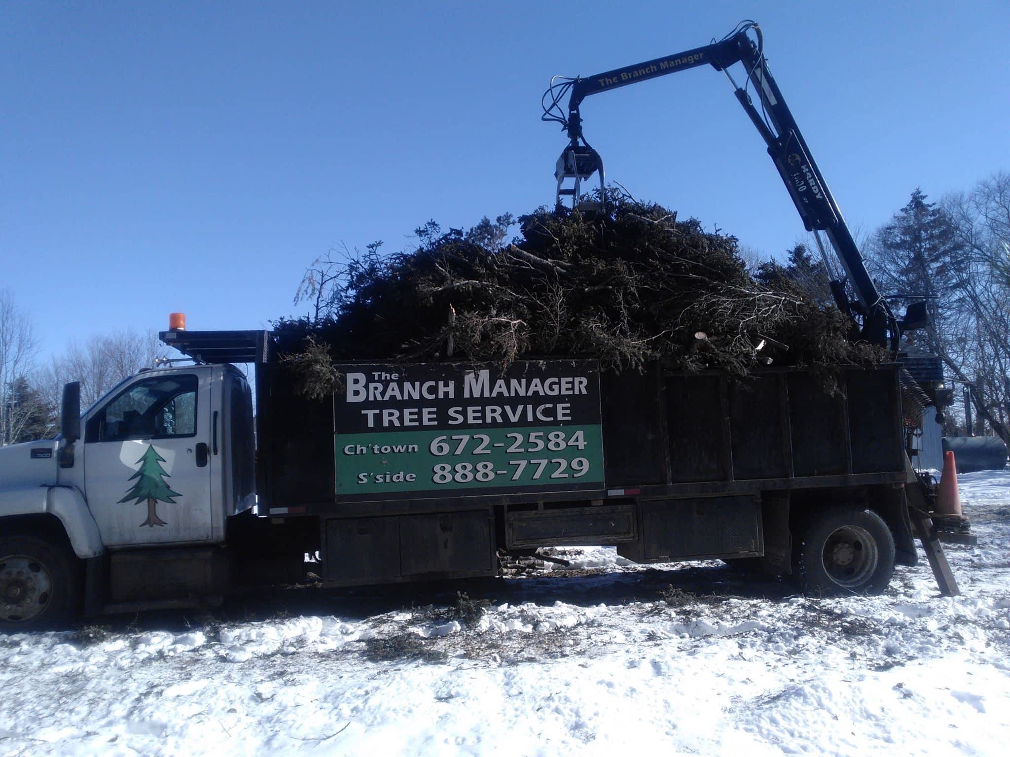 photo Branch Manager Tree Service