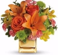 Ryerse S Garden Gallery Opening Hours 777 Norfolk St N Norfolk On
