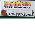 Beaver Tree Removal - Tree Service