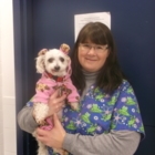 Guildwood Village Animal Clinic - Pet Grooming, Clipping & Washing