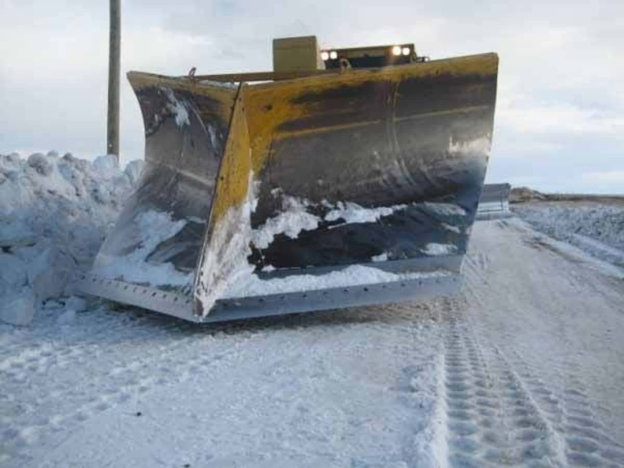 photo Elliott Cats Ltd