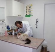 Clinique Veterinaire Jarry Inc Opening Hours 73 Rue Jarry Anjou Qc