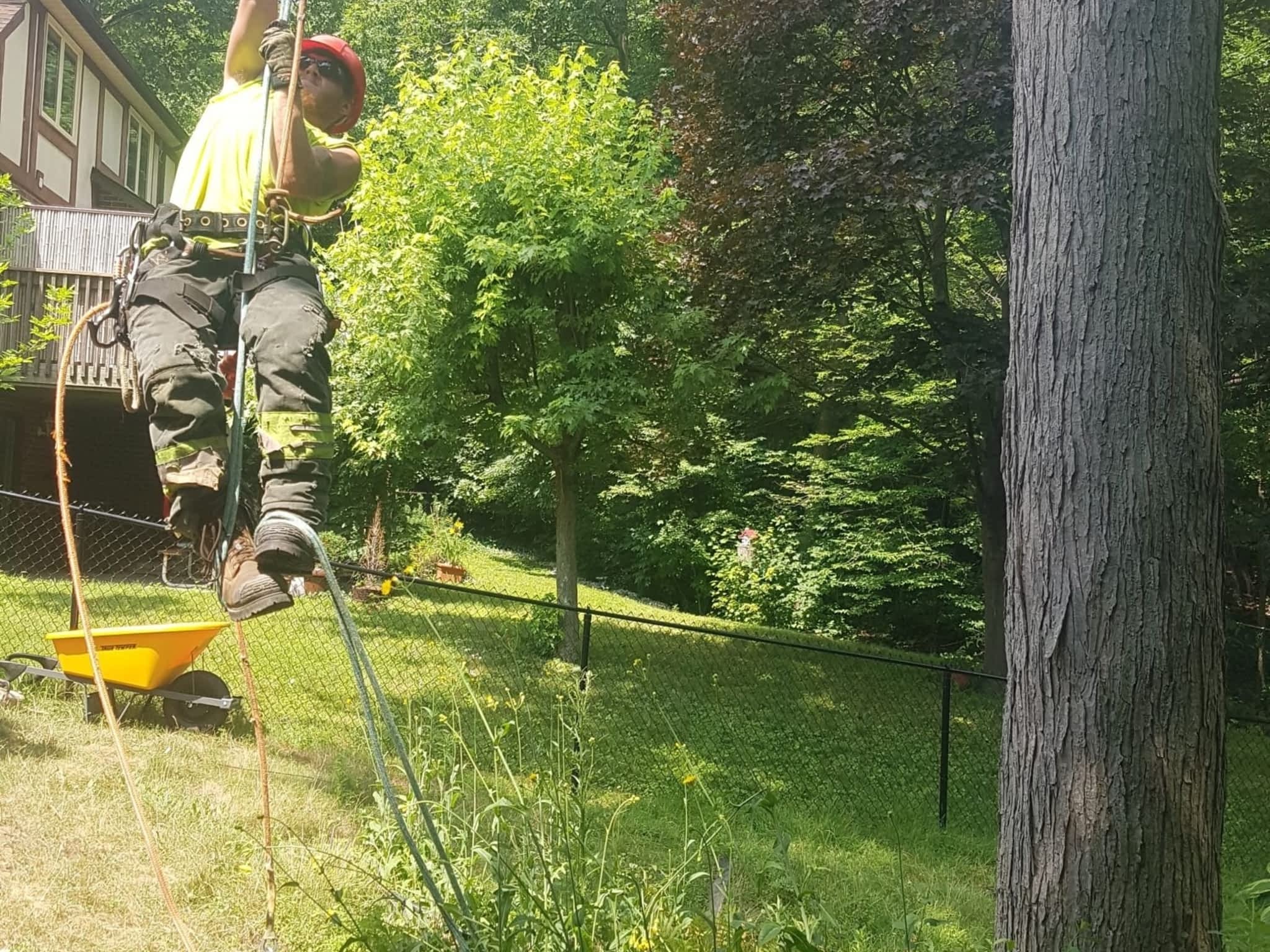 photo Wright's Tree Care