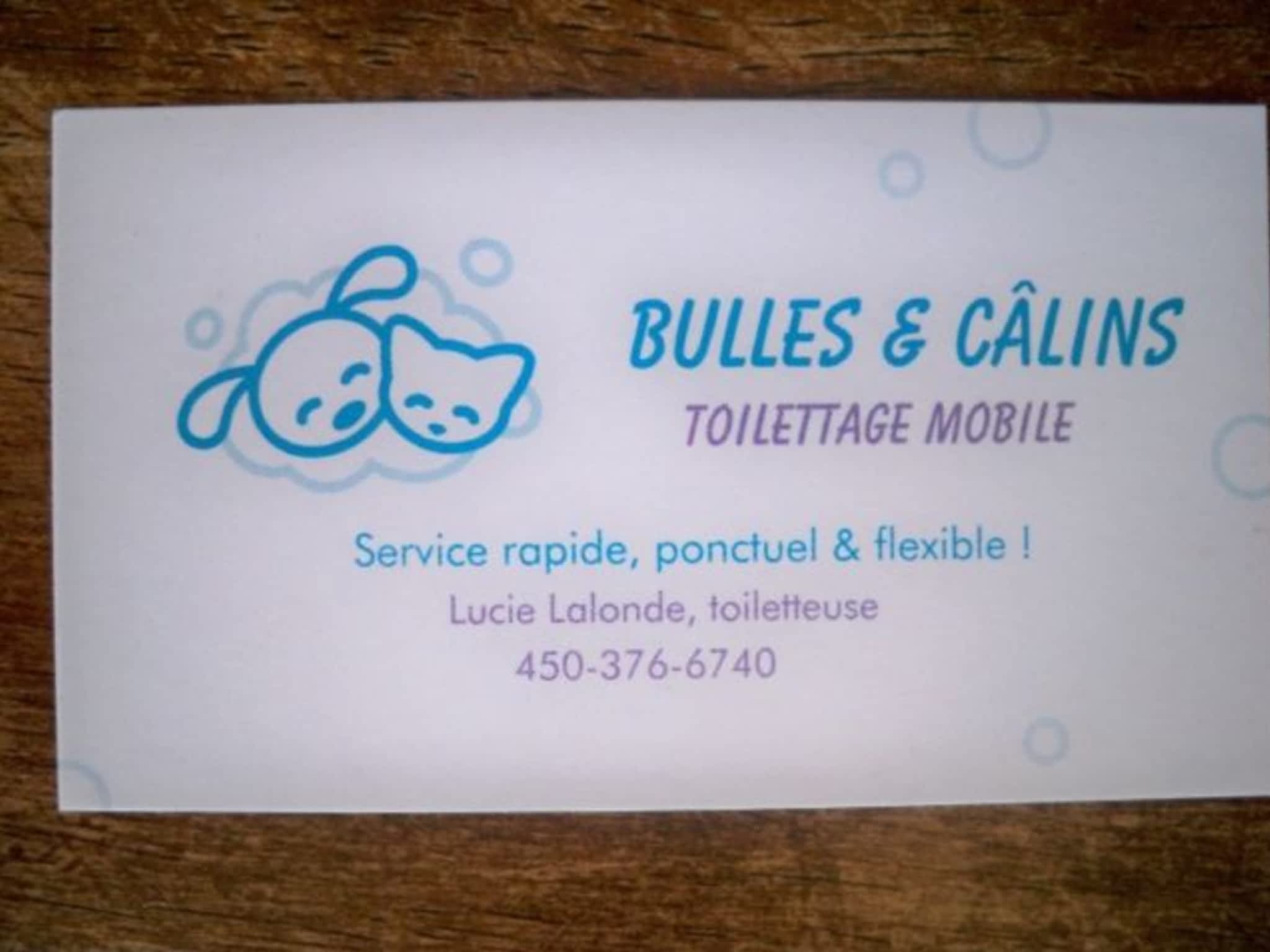photo Bulles & Câlins Toilettage Mobile
