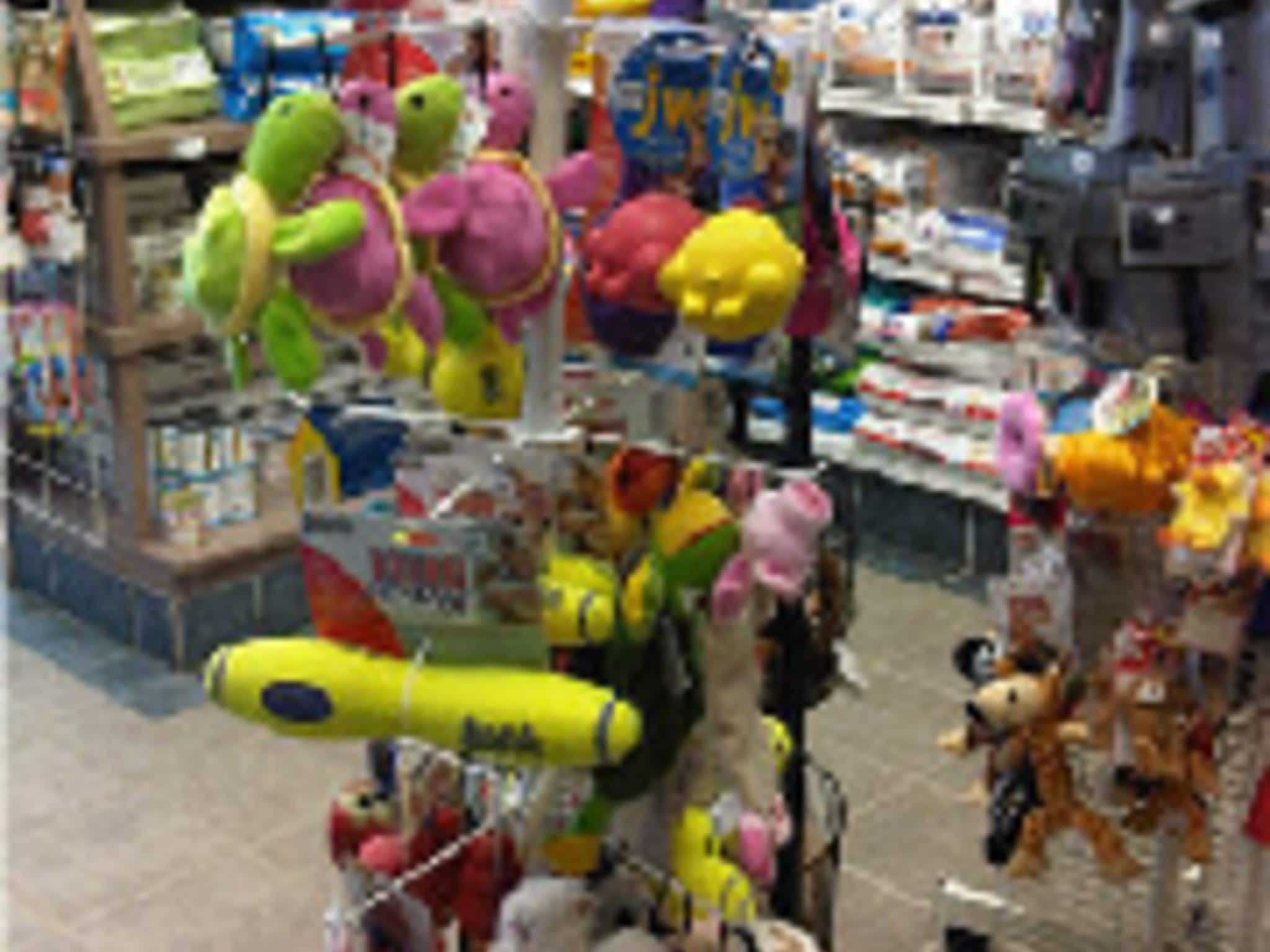 photo Middleton Veterinary Services