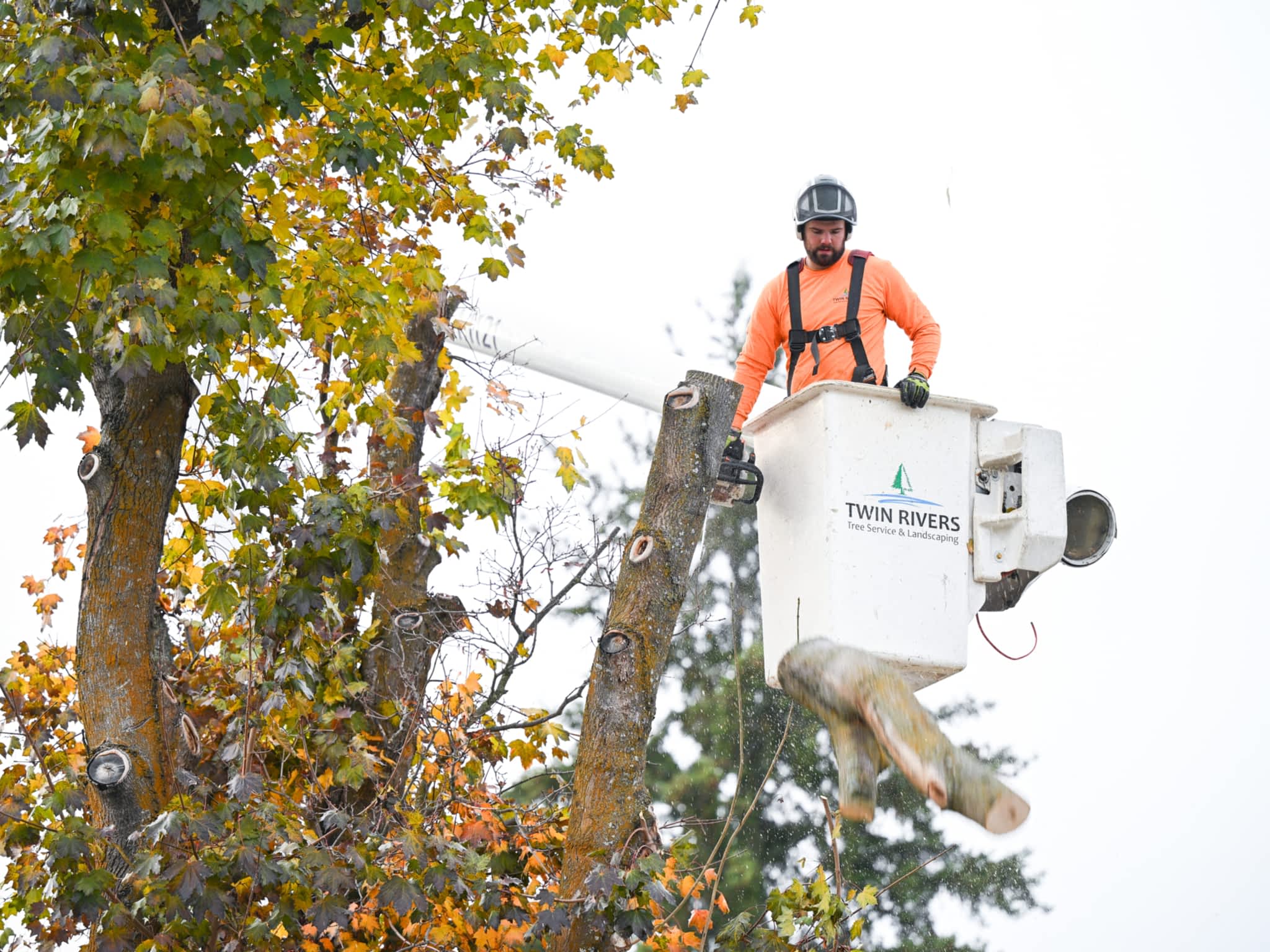 photo Twin Rivers Tree Service and Landscaping - Frase r Valley