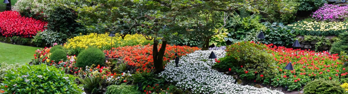 Take five in these Vancouver city gardens