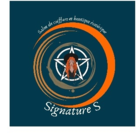 Signature S Coiffure & Boutique Ésotérique - Logo